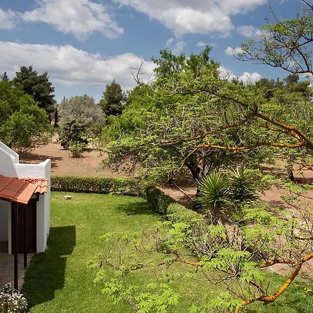 Διαμέρισμα Park