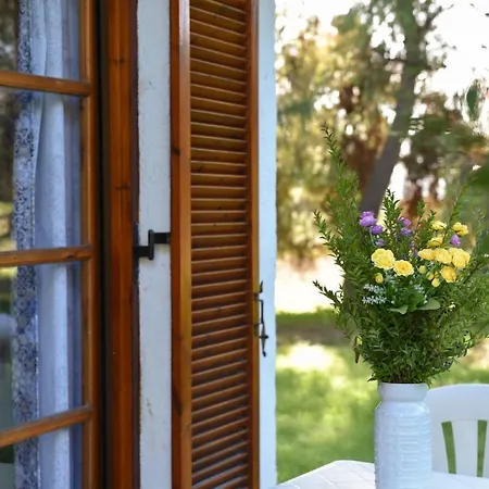 Park Διαμέρισμα *