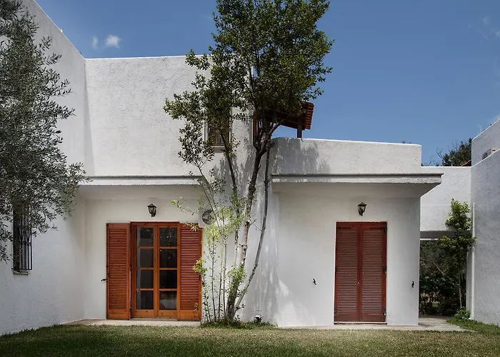 Park شقة إريتريا